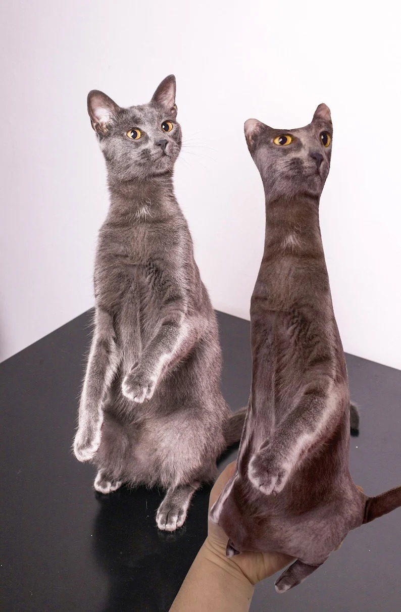 醜いペットの枕 カスタム 3D ペット肖像画 クッション