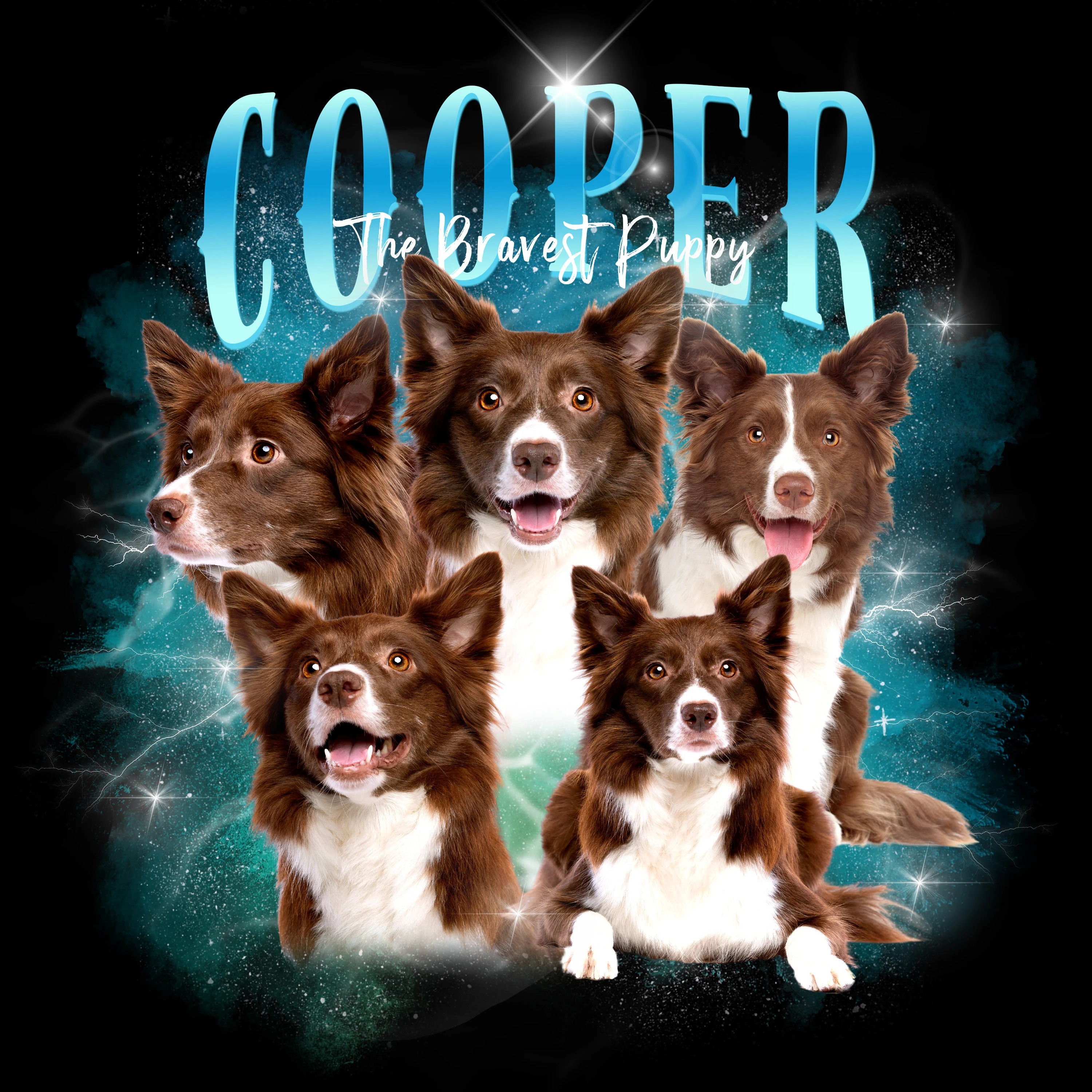 ギャラクシースタイル ペット写真プリント ヴィンテージ T シャツ、スウェット、パーカー-welikecustom-MJ