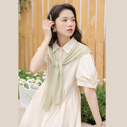 Polo Buttoned Dress with Knit Shawl 排扣连衣裙+针织披肩 *2 Colors