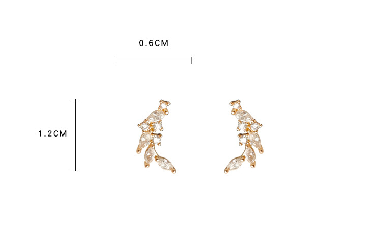 3242.jpg?x-oss-process=image/format,png