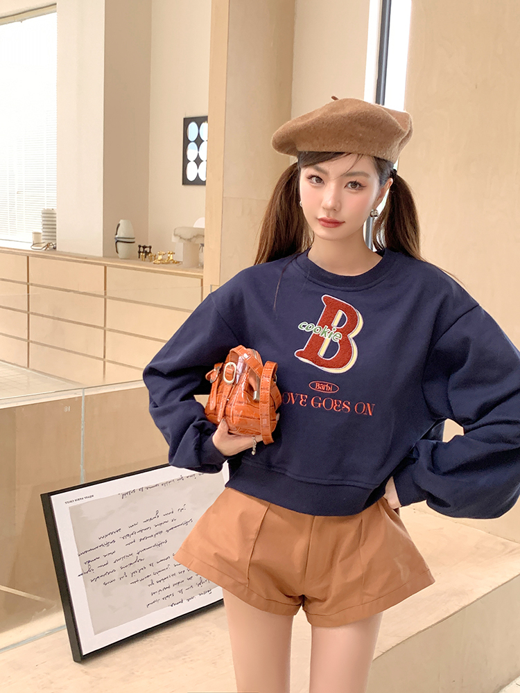 Vintage Colorblock Letter Sweatshirt 撞色字母复古卫衣