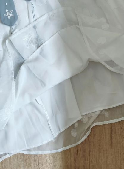 Retro Embroidery Hanfu Set 绣花民国风两件套