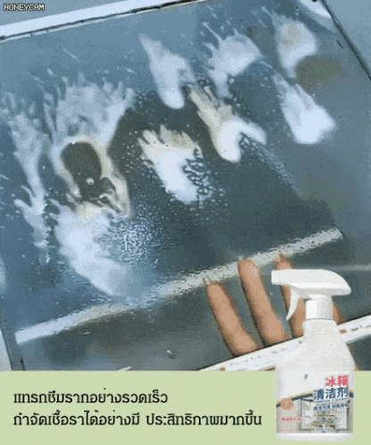 【กำจัดเชื้อแบคทีเรีย 100%】น้ำยาทำความสะอาดตู้เย็น