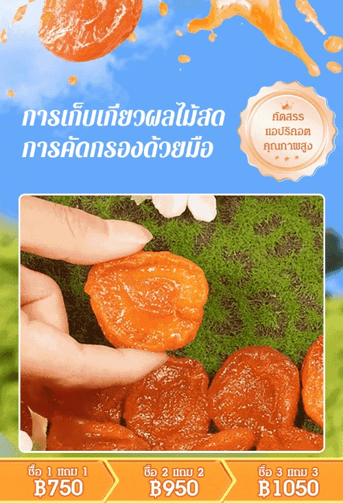 【หอมหวานนุ่มนิ่ม】แอปริคอตอบแห้ง ไม่มีเมล็ด ไม่มีสารเติมแต่ง