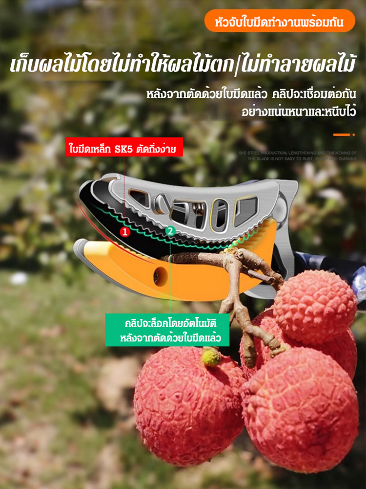 กรรไกรตัดผลไม้ที่สูงแบบยืดหดได้