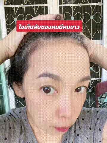 ปกปิดผมหงอก ผงย้อมผมแบบแท่ง