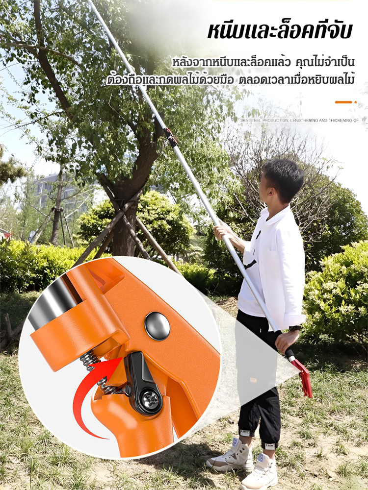 กรรไกรตัดแต่งกิ่งสแตนเลสอเนกประสงค์สำหรับงานสูง