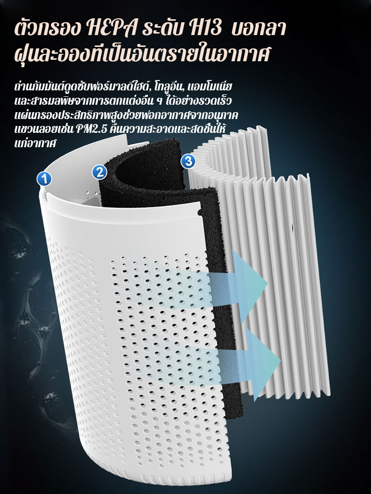 เครื่องฟอกอากาศกำจัดกลิ่นและฟอร์มาลดีไฮด์ด้วยประจุลบ