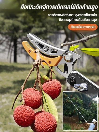 กรรไกรตัดผลไม้ที่สูงแบบยืดหดได้