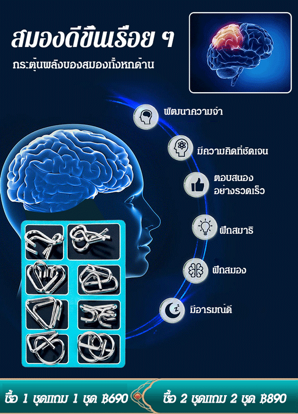 ห่วงเชื่อมโยงกัน 9 ห่วง ของเล่นพัฒนาสมอง