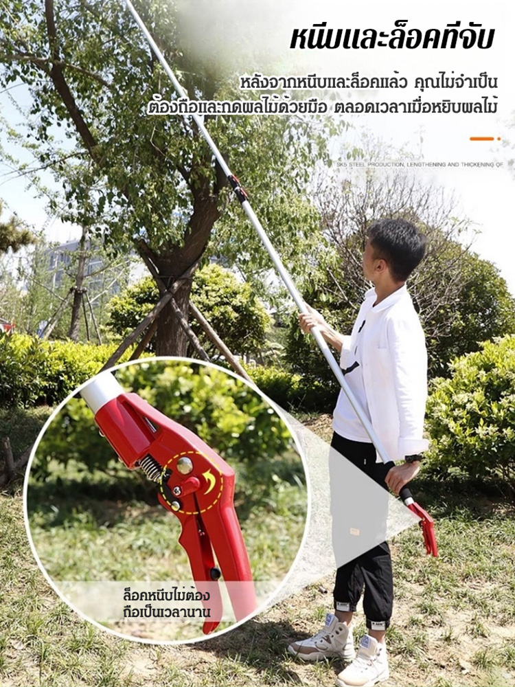 กรรไกรตัดผลไม้ที่สูงแบบยืดหดได้