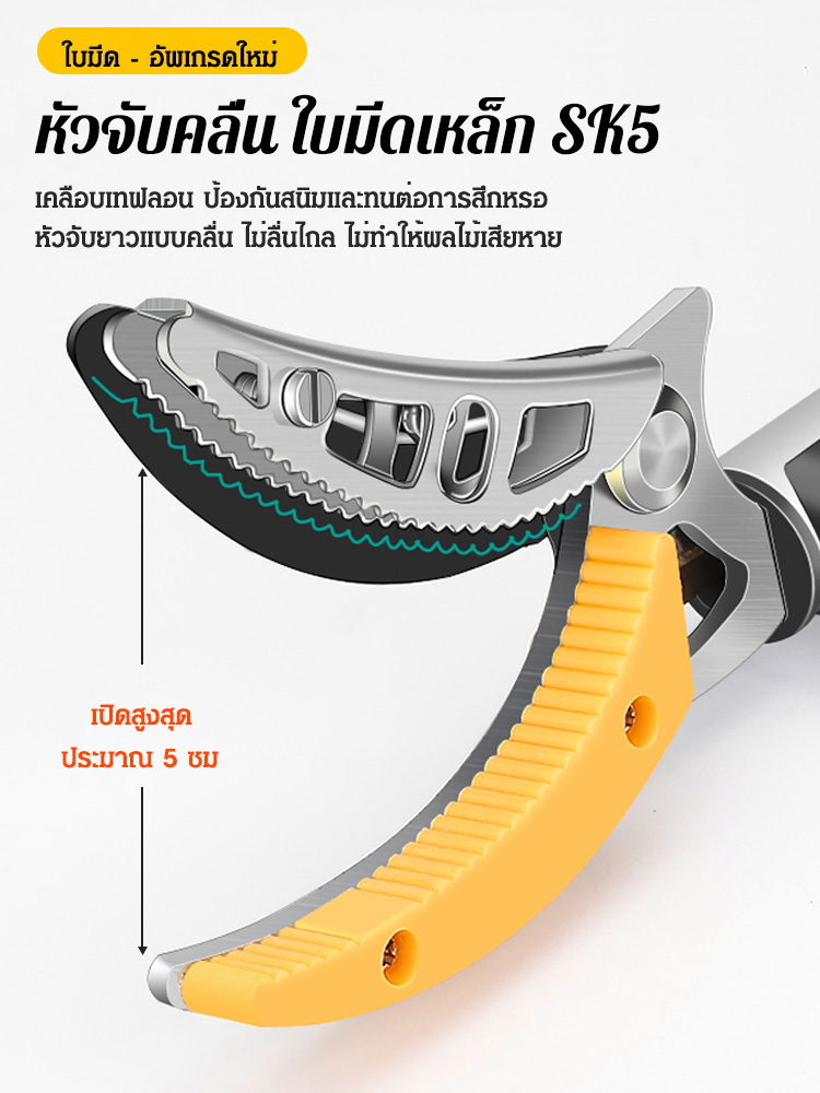 กรรไกรตัดผลไม้ที่สูงแบบยืดหดได้