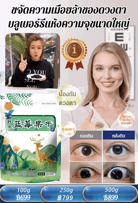 [ไม่มีสารปรุงแต่ง] บลูเบอร์รี่ป่าแห้งจากภูเขาฉางไป๋