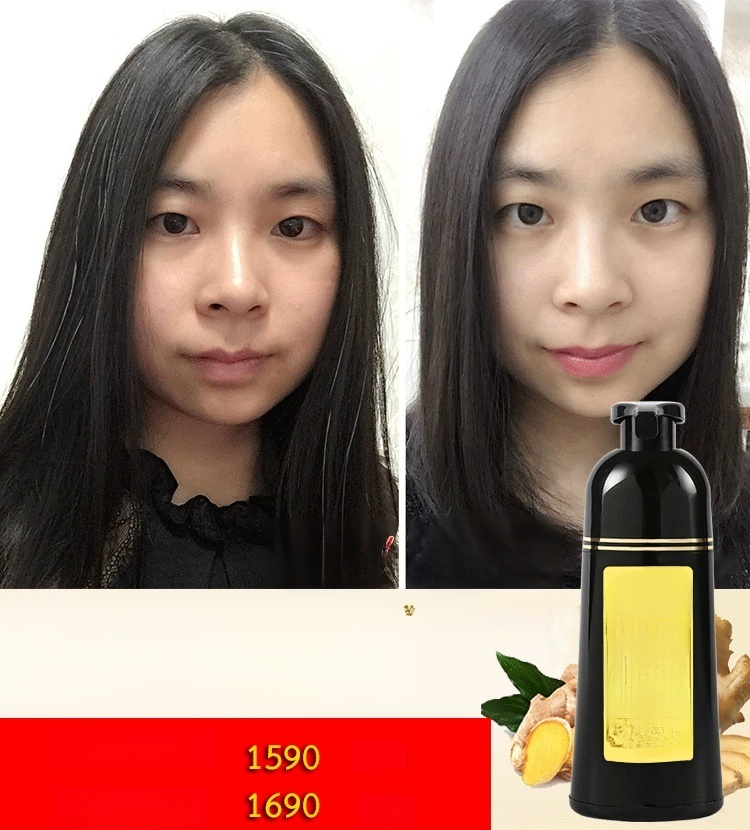 สมุนไพรขิงกษัตริย์ล้างผมดำ