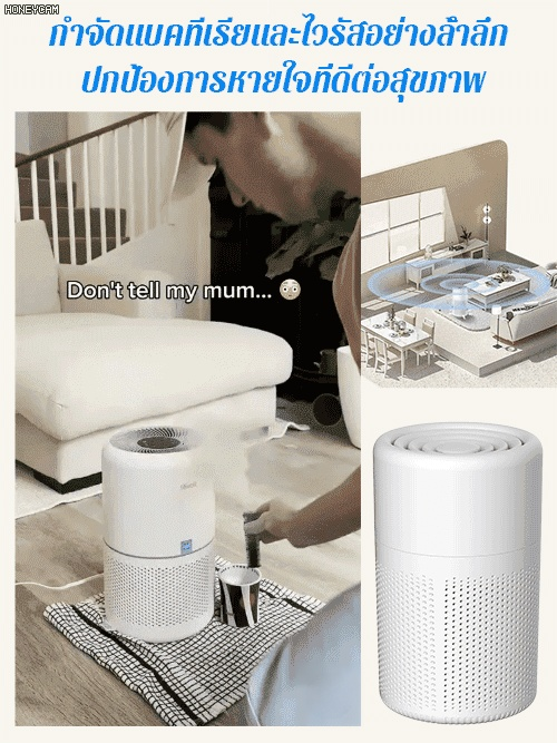 เครื่องฟอกอากาศกำจัดกลิ่นและฟอร์มาลดีไฮด์ด้วยประจุลบ