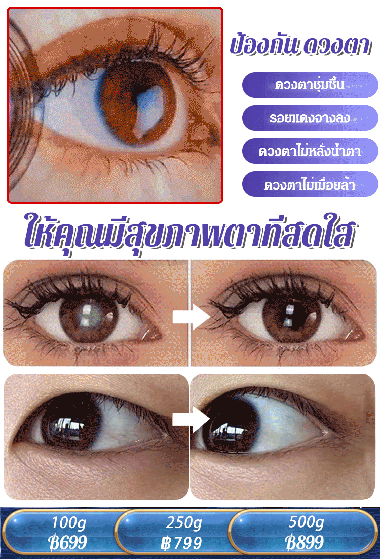 [ไม่มีสารปรุงแต่ง] บลูเบอร์รี่ป่าแห้งจากภูเขาฉางไป๋