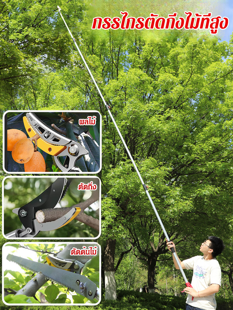 กรรไกรตัดผลไม้ที่สูงแบบยืดหดได้