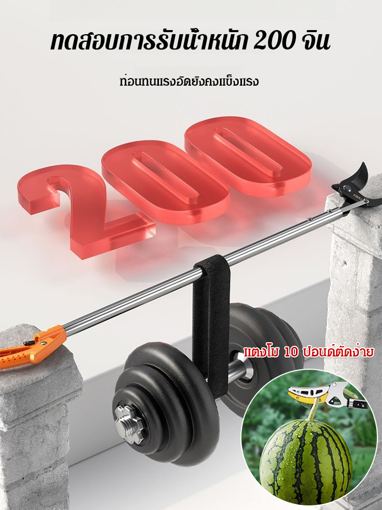 กรรไกรตัดแต่งกิ่งสแตนเลสอเนกประสงค์สำหรับงานสูง