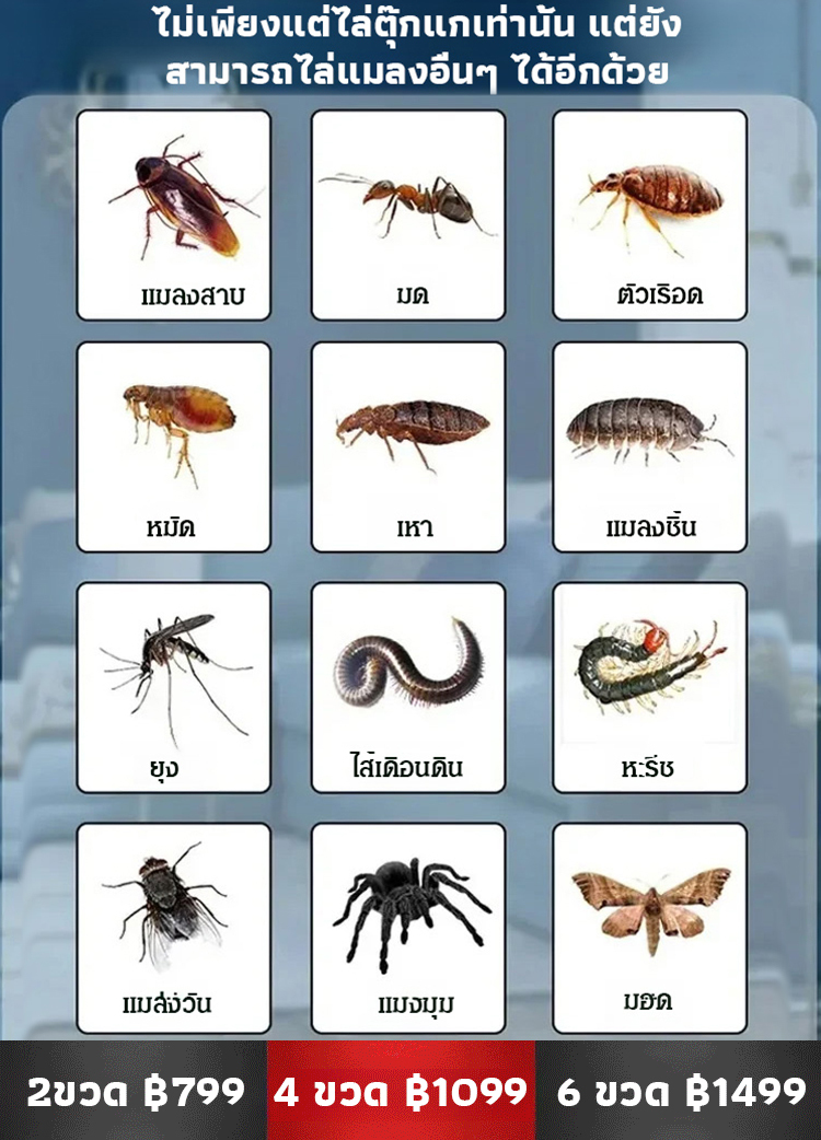 【หนีตอนกลางคืน】สเปรย์ไล่จิ้งจกสุดคุ้ม