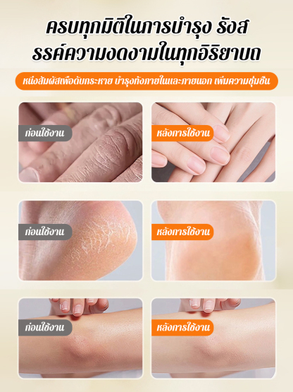 【ระดับการวิจัยทางการแพทย์】ครีมม้าชุ่มชื้นยืดหยุ่น