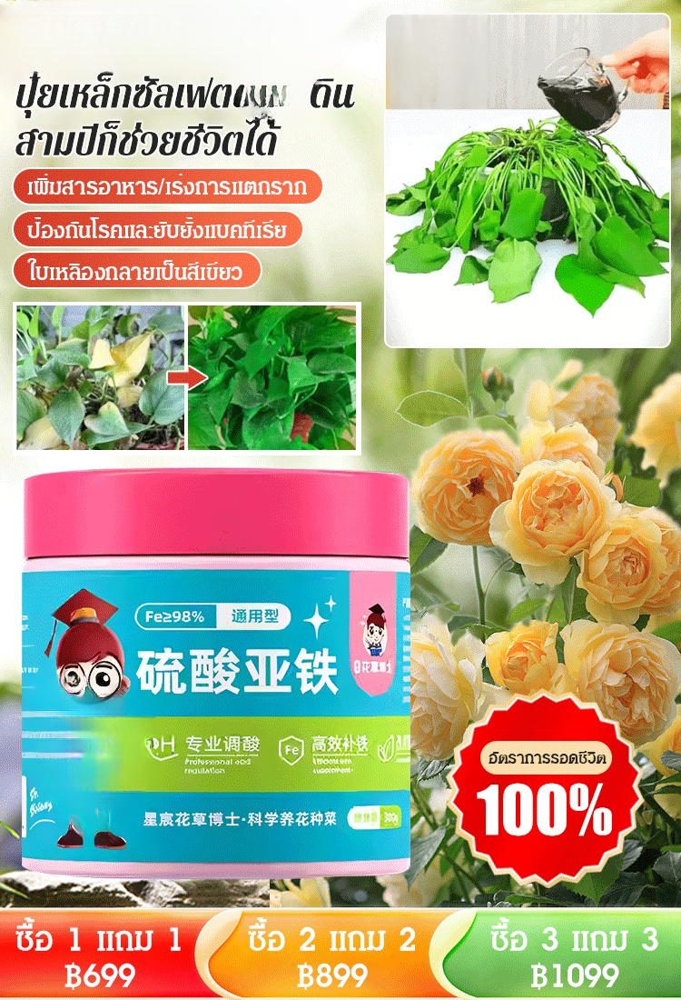 【ดอกไม้บานเต็มกระถาง】ปุ๋ยเหล็กซัลเฟตบำรุงดินสูตรใหม่