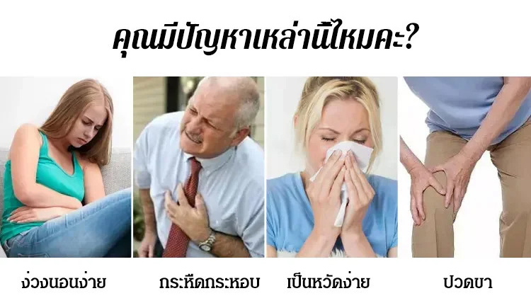翻译_04.jpg