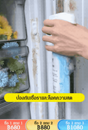 [ขจัดคราบและเชื้อรา] น้ำยาทำความสะอาดตู้เย็น