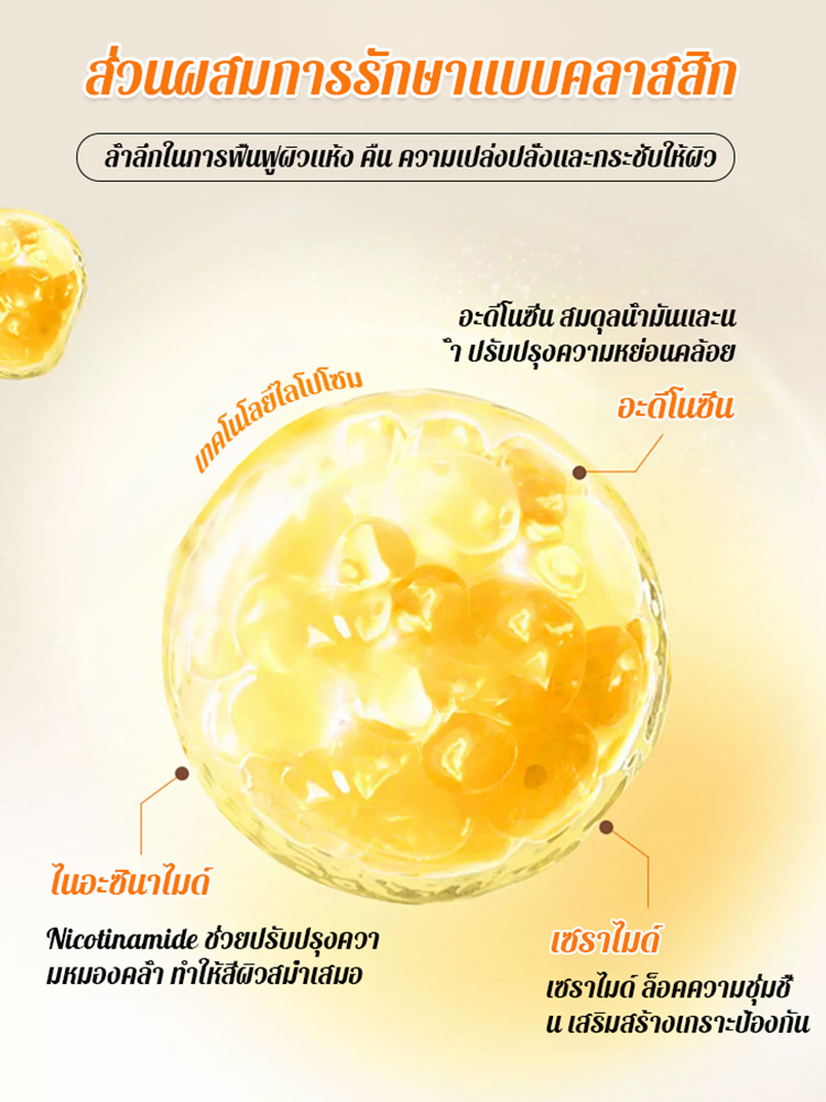 【ระดับการวิจัยทางการแพทย์】ครีมม้าชุ่มชื้นยืดหยุ่น