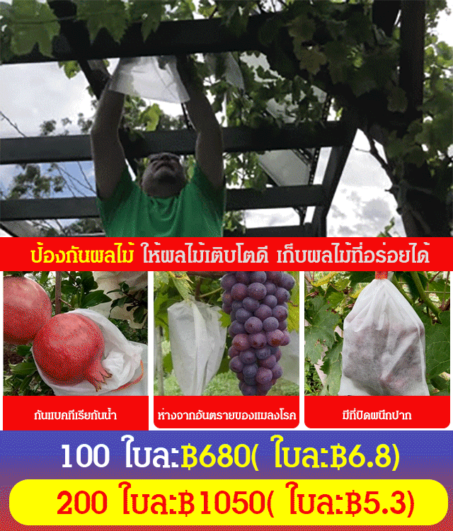 ถุงผ้าไม่ทอห่อผลไม้ กันแมลงกันนกกันน้ำ