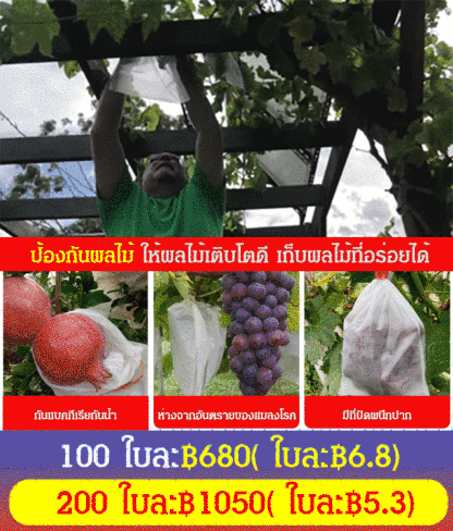 ถุงผ้าไม่ทอห่อผลไม้ กันแมลงกันนกกันน้ำ
