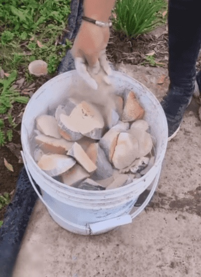 翻译件-HFH-【农神附体】EM厨余发酵菌-1227033_14.gif