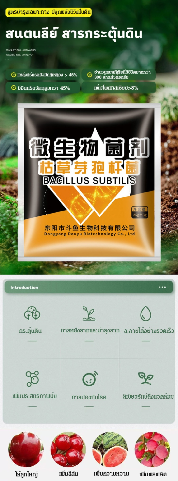 翻译_07.jpg