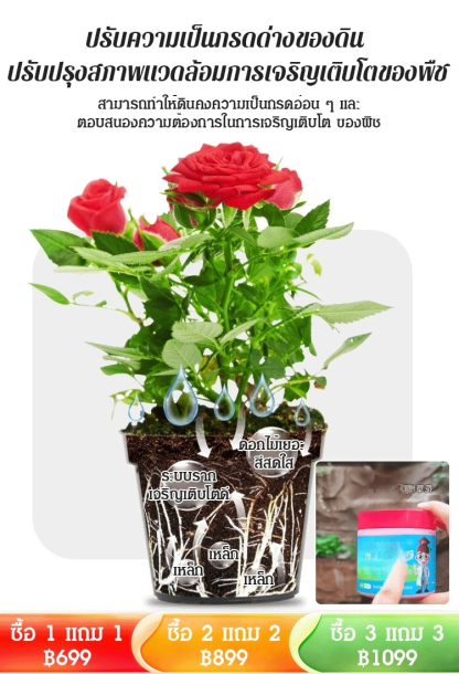 【ดอกไม้บานเต็มกระถาง】ปุ๋ยเหล็กซัลเฟตบำรุงดินสูตรใหม่