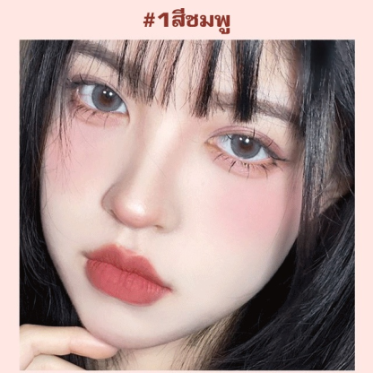 การแนะนำโดยบล็อกเกอร์แต่งหน้าสวย บลัชออนสีเดียว 
