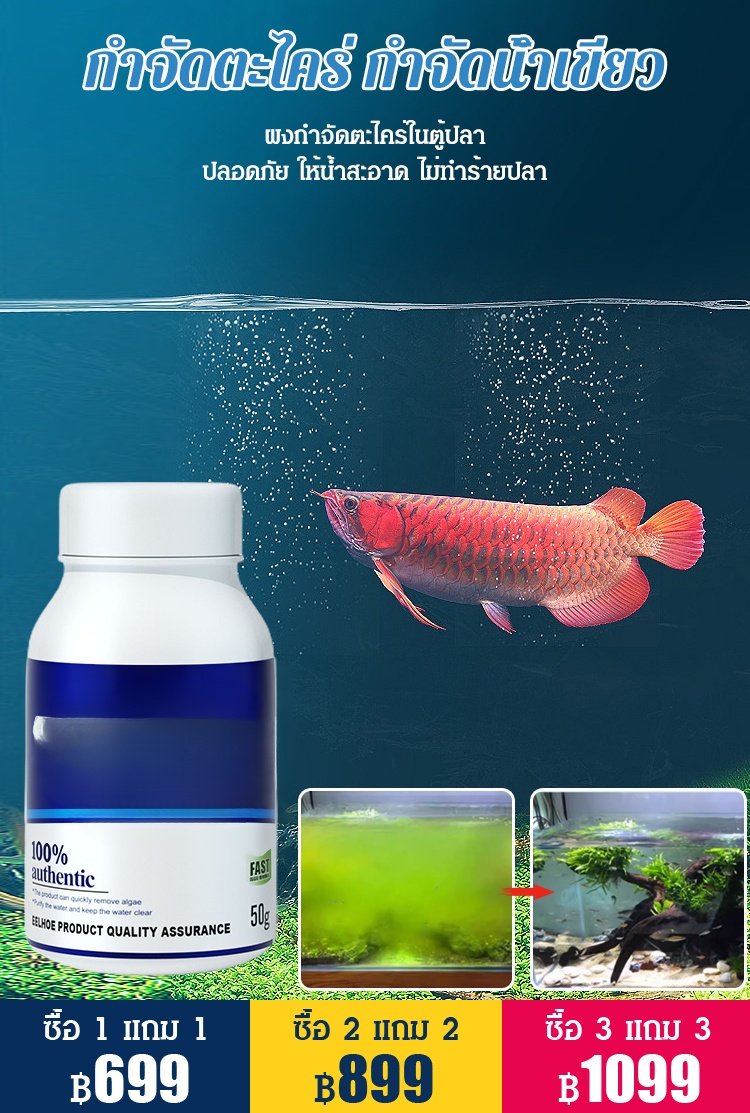 ผงกำจัดตะไคร่ในตู้ปลา