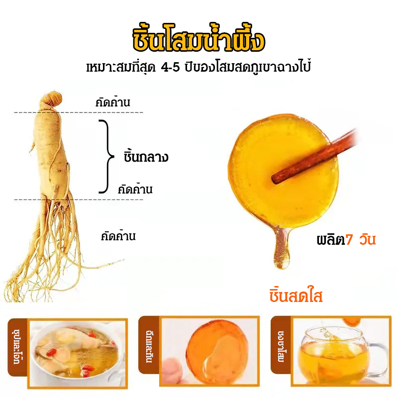 ปั๊มน้ำมันชาย ชิ้นโสมน้ำผึ้ง