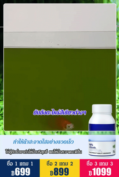 ผงกำจัดตะไคร่ในตู้ปลา