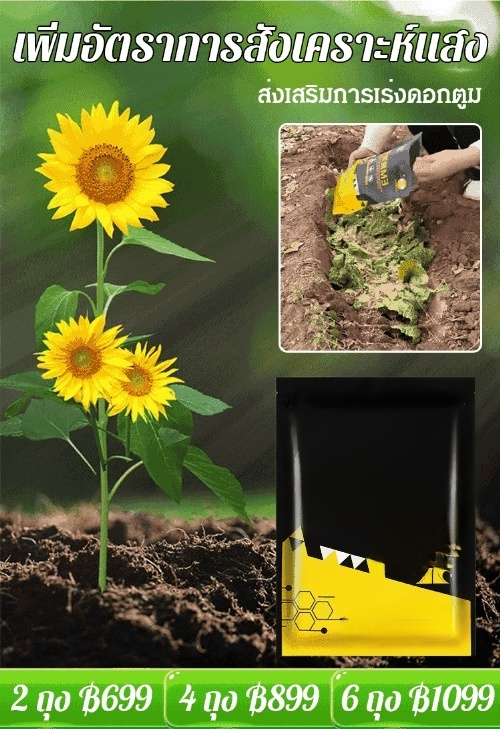 【ไอเทมดีสำหรับปลูกพืช】 จุลินทรีย์ EM หมักปุ๋ยด้วยเศษอาหาร