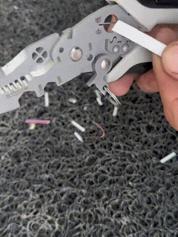1_10.gif