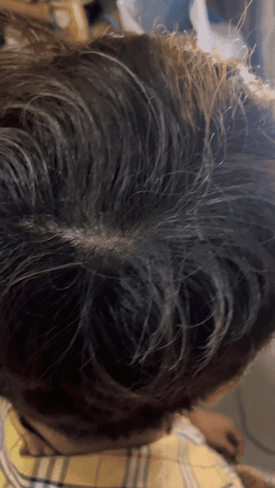 HFH-【白发彩发一抹黑】植物滋养洗发水_06-1.gif