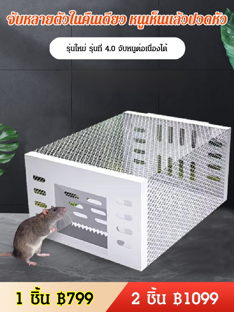 (มาได้ กลับไม่ได้) กับดักหนูอัตโนมัติ กำจัดหลายตัวพร้อมกัน กำจัดหนูให้หมดจากบ้าน