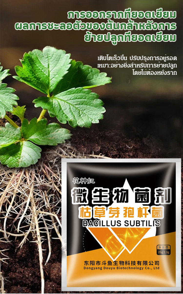 翻译_15.jpg