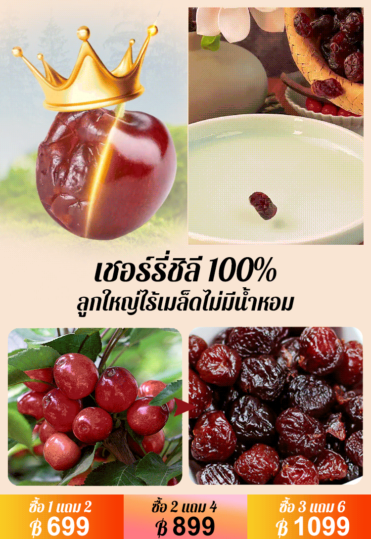 [ผลไม้แห่งชีวิต] เชอร์รี่อบแห้งนำเข้าจากชิลี