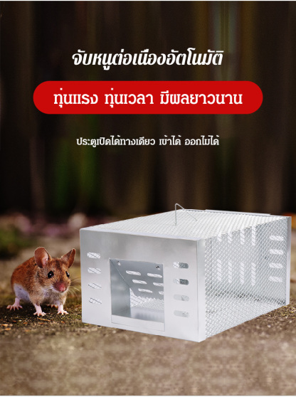 (มาได้ กลับไม่ได้) กับดักหนูอัตโนมัติ กำจัดหลายตัวพร้อมกัน กำจัดหนูให้หมดจากบ้าน