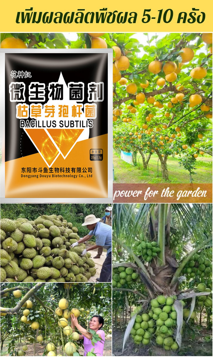 翻译_23.jpg