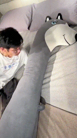 下载 (2).gif