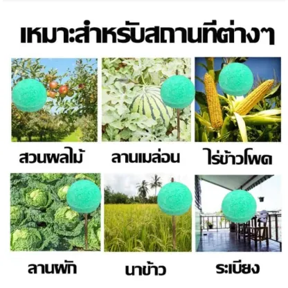 ยาลูกกลอนขับไล่นกผ่านกลิ่นสำหรับสวนผลไม้และไร่นา