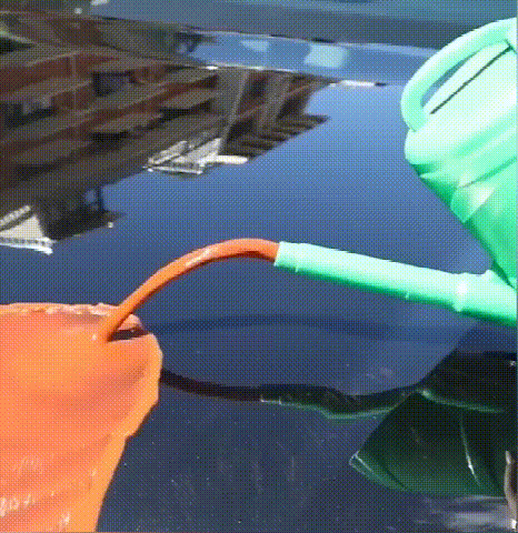 1_12.gif