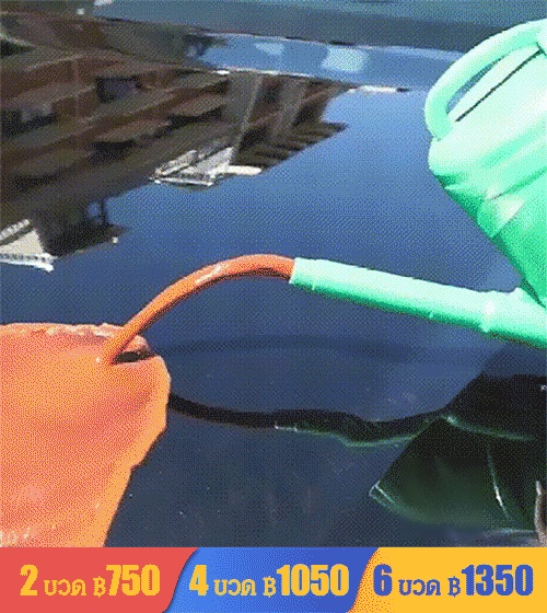 สเปรย์เคลือบสีรถ