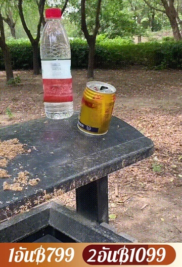 ของเล่นหนังสติ๊กแบบเล็งด้วยอินฟราเรด